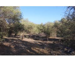 Finca en Venta en Alora, Málaga