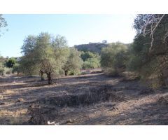 Finca en Venta en Alora, Málaga