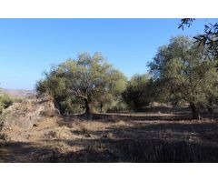 Finca en Venta en Alora, Málaga