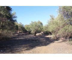 Finca en Venta en Alora, Málaga