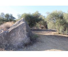 Finca en Venta en Alora, Málaga
