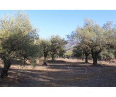 Finca en Venta en Alora, Málaga