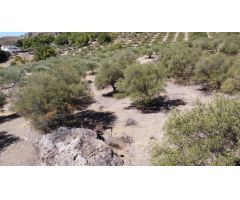 Finca en Venta en Alora, Málaga