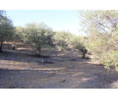 Finca en Venta en Alora, Málaga