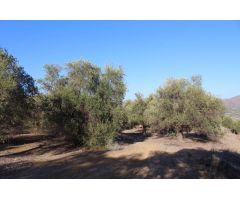 Finca en Venta en Alora, Málaga