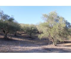 Finca en Venta en Alora, Málaga