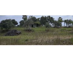 Finca en Venta en Alhaurín el Grande, Málaga
