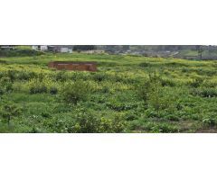 Finca en Venta en Villafranco del Guadalhorce, Málaga