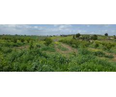 Finca en Venta en Villafranco del Guadalhorce, Málaga