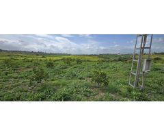 Finca en Venta en Villafranco del Guadalhorce, Málaga