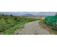 Finca en Venta en Villafranco del Guadalhorce, Málaga