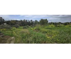 Finca rustica en Venta en Villafranco del Guadalhorce, Málaga
