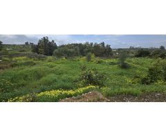 Finca rustica en Venta en Villafranco del Guadalhorce, Málaga