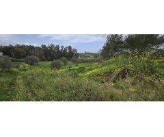 Finca rustica en Venta en Villafranco del Guadalhorce, Málaga