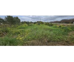 Finca rustica en Venta en Villafranco del Guadalhorce, Málaga