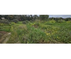Finca rustica en Venta en Villafranco del Guadalhorce, Málaga