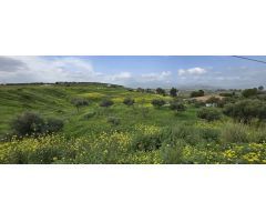 Finca rustica en Venta en Villafranco del Guadalhorce, Málaga