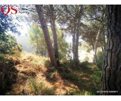Terreno con vistas al mar en LEscala