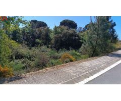 Terreno urbano en urbanización Parc del Princeps I, Fogars de la Selva