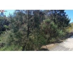 Terreno urbano en urbanización Parc del Princeps I, Fogars de la Selva