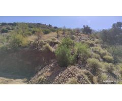 PARCELA EN PARAJE LOS BALTASARES (TOTALÁN)