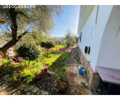 ESPECTACULAR FINCA (Ronda)