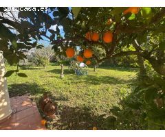 Chalet en Venta en Alcalá de Guadaira, Sevilla