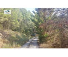 Venta Lote de 5 Parcelas con terreno agrario en Querol - Tarragona