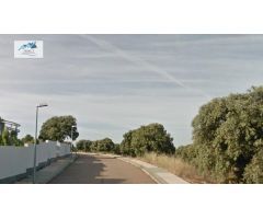 Venta chalet en Carrascal de Barregas (Salamanca)