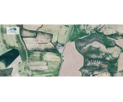 Venta Nave Industrial en Borox - Toledo