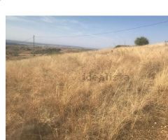 Terreno rural en Venta en El Molar, Madrid