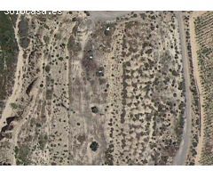GRAN PARCELA RUSTICA ZONA VIA PARQUE EN ELCHE