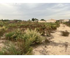 PARCELA 12000M CON CASA VIEJA EN LA ALGODA ELCHE