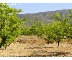 VILLA DE OBRA  NUEVA EN PINOSO