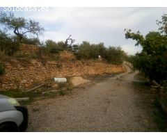 FINCA AGRICOLA DE REGADIO CON DOS MASIAS DE NUEVA CONSTRUCCION EN PARAJE SINGULAR - DARMOS.