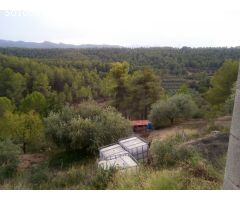 FINCA AGRICOLA DE REGADIO CON DOS MASIAS DE NUEVA CONSTRUCCION EN PARAJE SINGULAR - DARMOS.