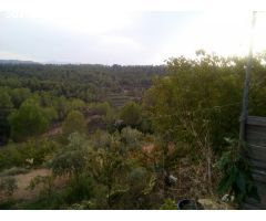 FINCA AGRICOLA DE REGADIO CON DOS MASIAS DE NUEVA CONSTRUCCION EN PARAJE SINGULAR - DARMOS.