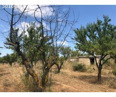 FINCA RUSTICA EN BOT CON MASIA DE PIEDRA