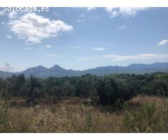 FINCA RUSTICA EN BOT CON MASIA DE PIEDRA