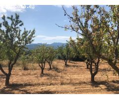 FINCA RUSTICA EN BOT CON MASIA DE PIEDRA