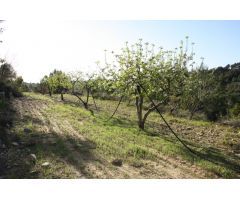 OCASION FINCA RUSTICA CON MASIA EN LA FATARELLA