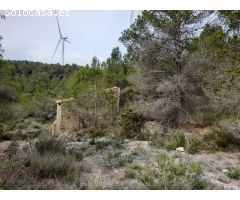 FINCA RUSTICA EN MORA D´EBRE CON MASIA DE PIEDRA SECA