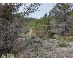 FINCA RUSTICA EN MORA D´EBRE CON MASIA DE PIEDRA SECA
