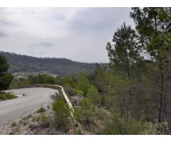 FINCA RUSTICA EN MORA D´EBRE CON MASIA DE PIEDRA SECA