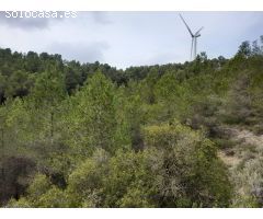 FINCA RUSTICA EN MORA D´EBRE CON MASIA DE PIEDRA SECA