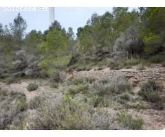 FINCA RUSTICA EN MORA D´EBRE CON MASIA DE PIEDRA SECA