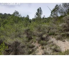 FINCA RUSTICA EN MORA D´EBRE CON MASIA DE PIEDRA SECA