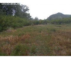 FINCA DE REGADIO EN MIRAVET CON ACCESO DIRECTO AL RIO