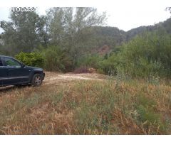 FINCA DE REGADIO EN MIRAVET CON ACCESO DIRECTO AL RIO