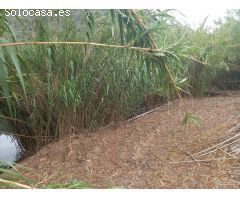 FINCA DE REGADIO EN MIRAVET CON ACCESO DIRECTO AL RIO